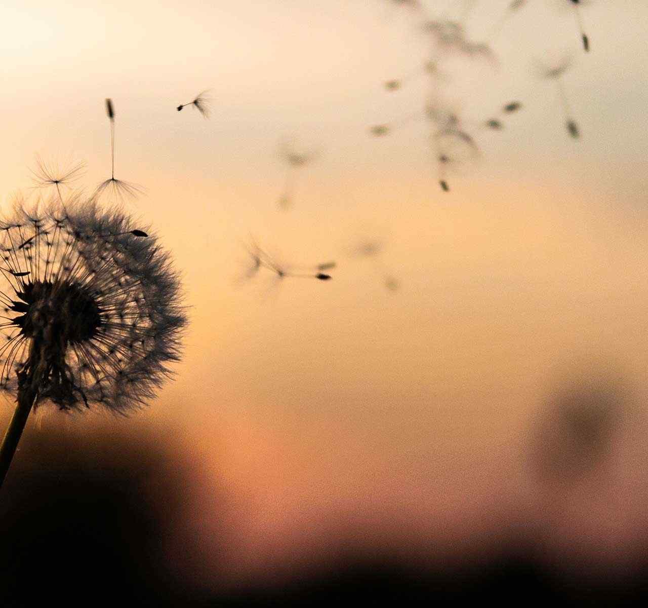 https://www.pagl.mx/wp-content/uploads/2018/09/post_02-1280x1200.jpg