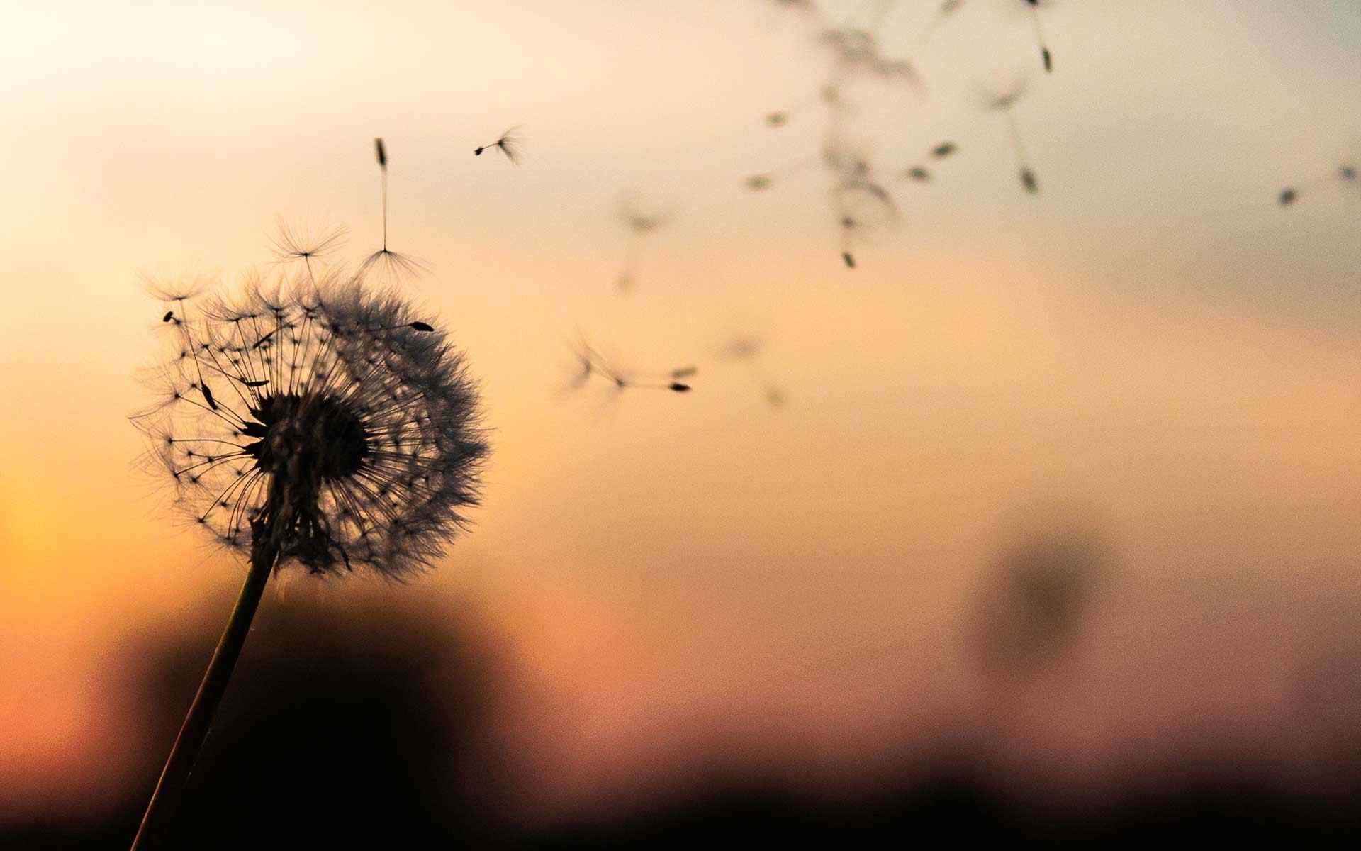 https://www.pagl.mx/wp-content/uploads/2018/09/post_02.jpg